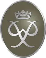 RAW Adventures - Duke of Edinburgh Award Bronze Award logo